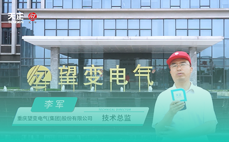 米兰体育x望变电气